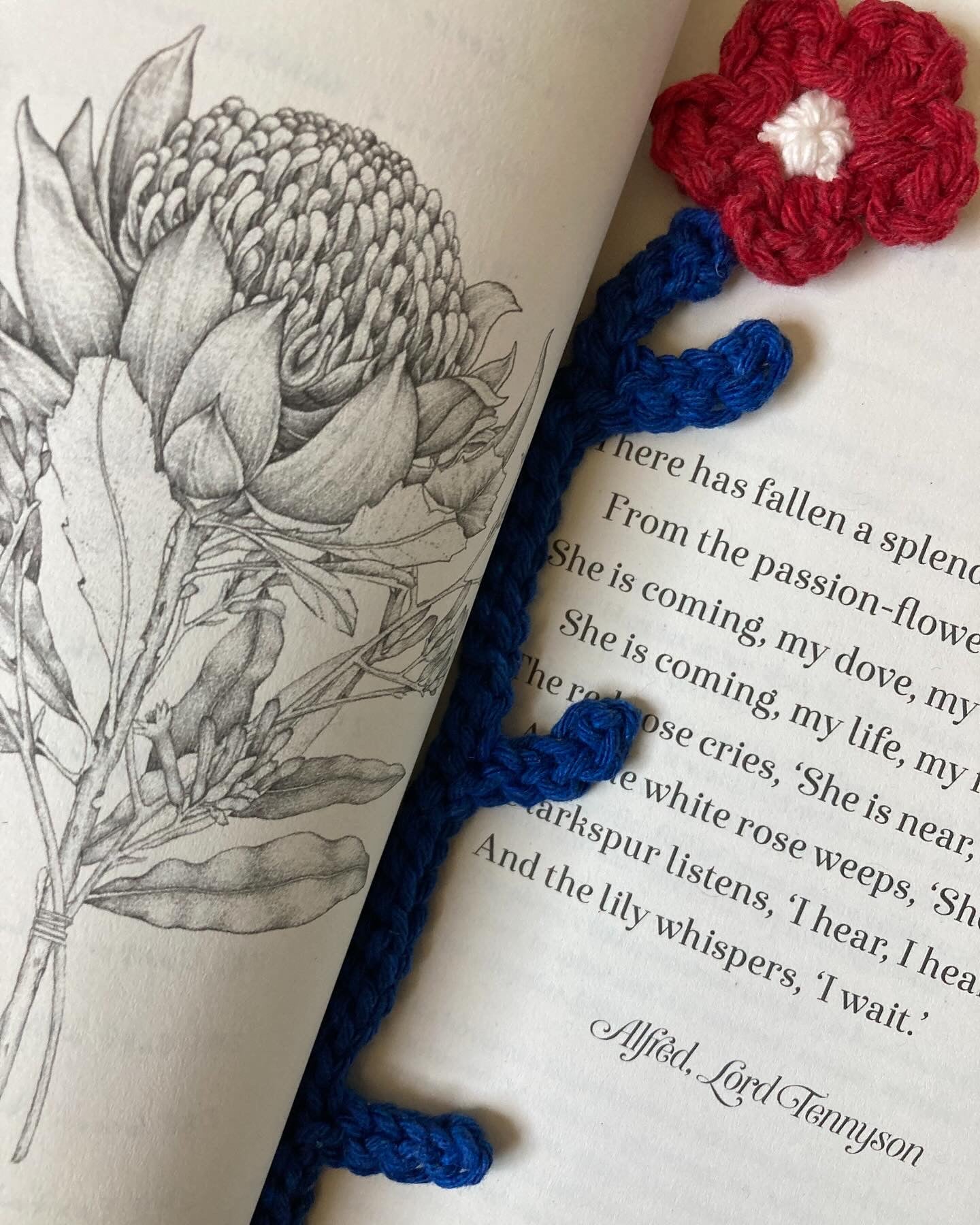 © 2025 BE MY BABY READ MY BABY Bookmark Crochet Pattern
