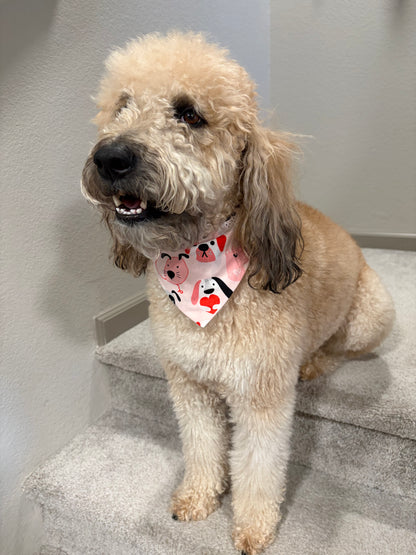🐾 THE HERO PUP BANDANA COLLECTION 🐾