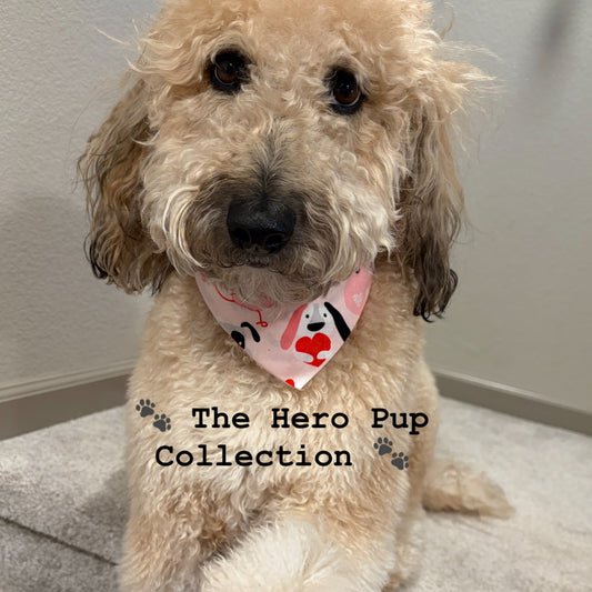 🐾 THE HERO PUP BANDANA COLLECTION 🐾